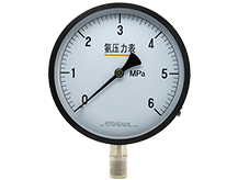 氨用压力表